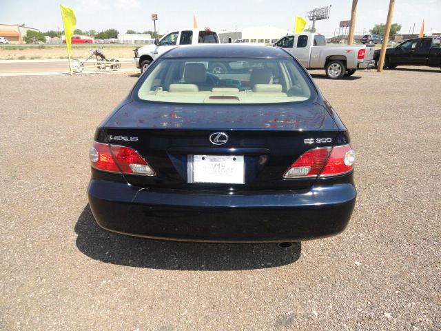 Lexus ES 300 2002 photo 3