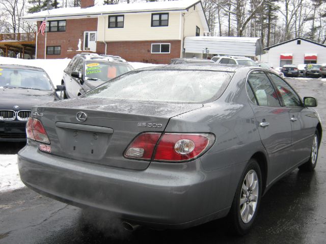 Lexus ES 300 2002 photo 1