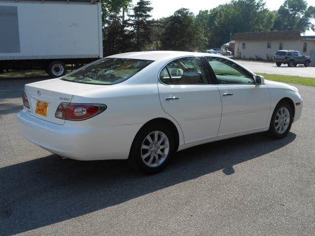 Lexus ES 300 2002 photo 4