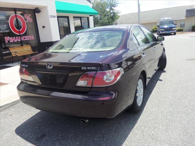 Lexus ES 300 2002 photo 10