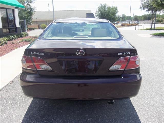 Lexus ES 300 2002 photo 13