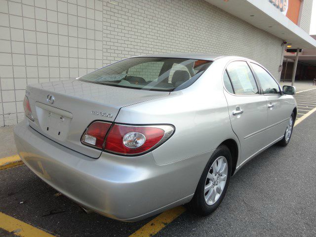 Lexus ES 300 2002 photo 1