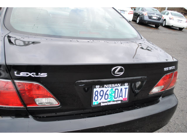 Lexus ES 300 2003 photo 4