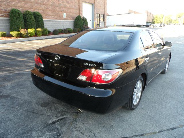 Lexus ES 300 2003 photo 4