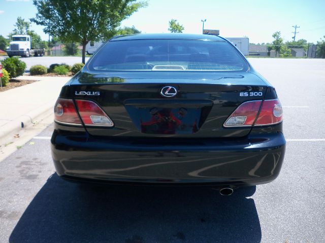 Lexus ES 300 2003 photo 4