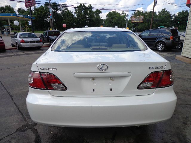 Lexus ES 300 2003 photo 4