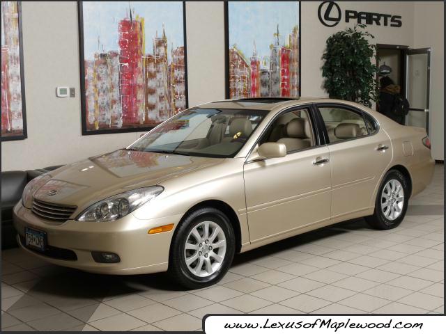 Lexus ES 300 2003 photo 1