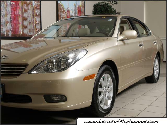 Lexus ES 300 2003 photo 2