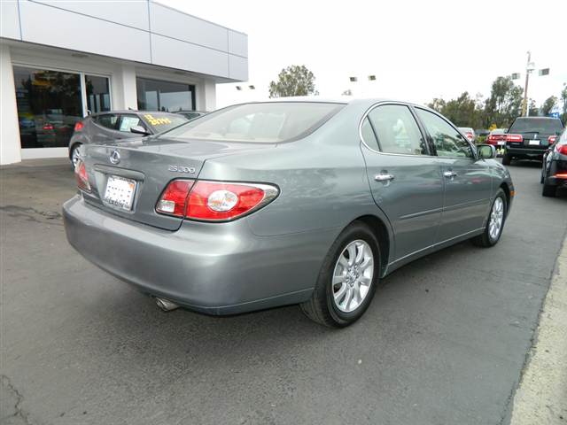 Lexus ES 300 2003 photo 3