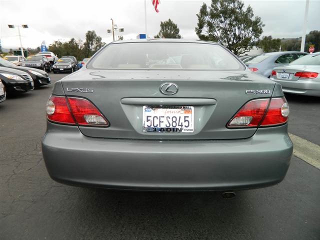 Lexus ES 300 2003 photo 4