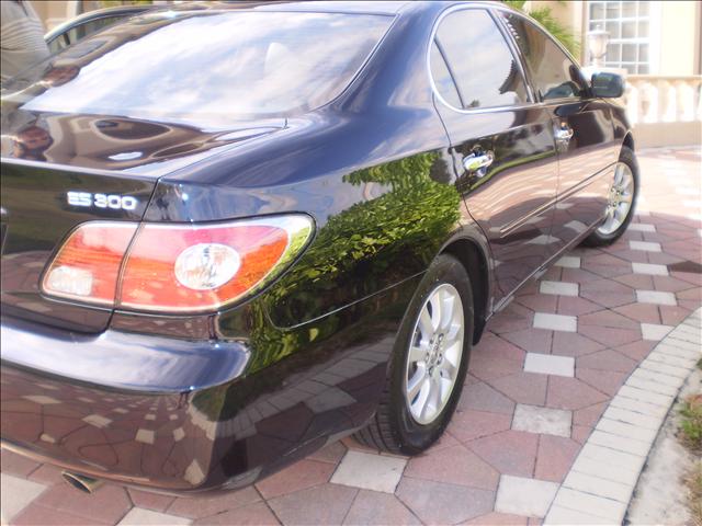 Lexus ES 300 2003 photo 2