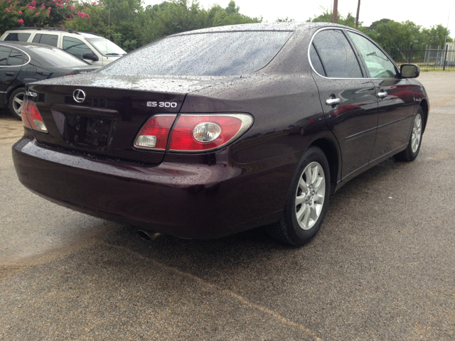 Lexus ES 300 2003 photo 4