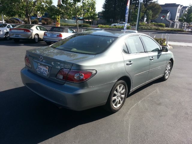 Lexus ES 300 2003 photo 13