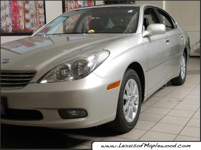 Lexus ES 300 2003 photo 2