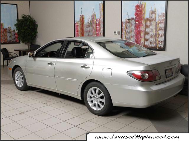 Lexus ES 300 2003 photo 3