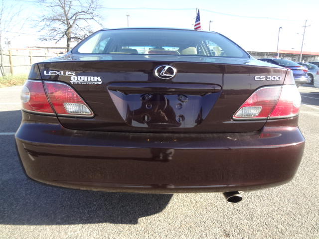 Lexus ES 300 2003 photo 4