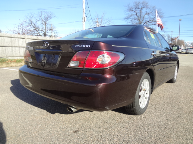 Lexus ES 300 2003 photo 5