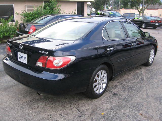 Lexus ES 300 2003 photo 4