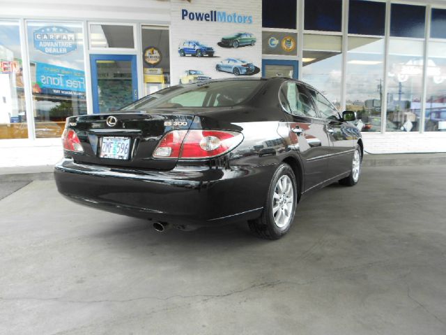 Lexus ES 300 2003 photo 3