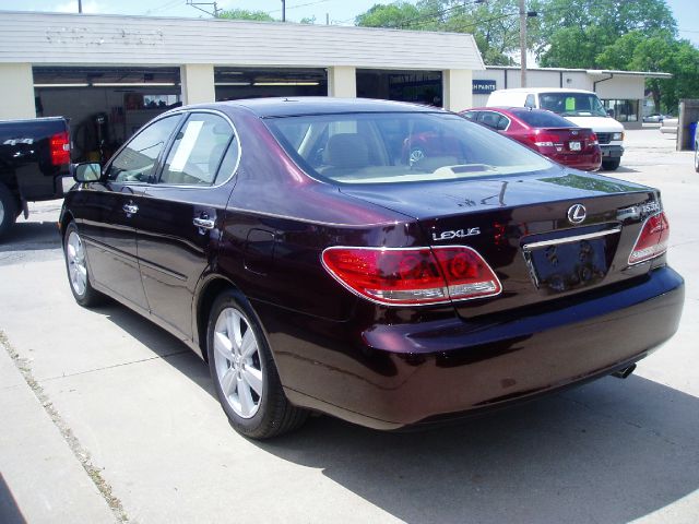 Lexus ES 330 2005 photo 6