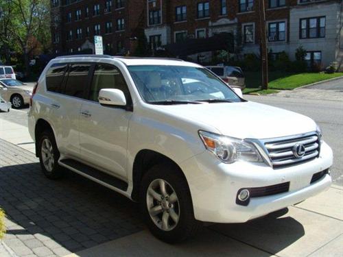 Lexus GX 460 2010 photo 1