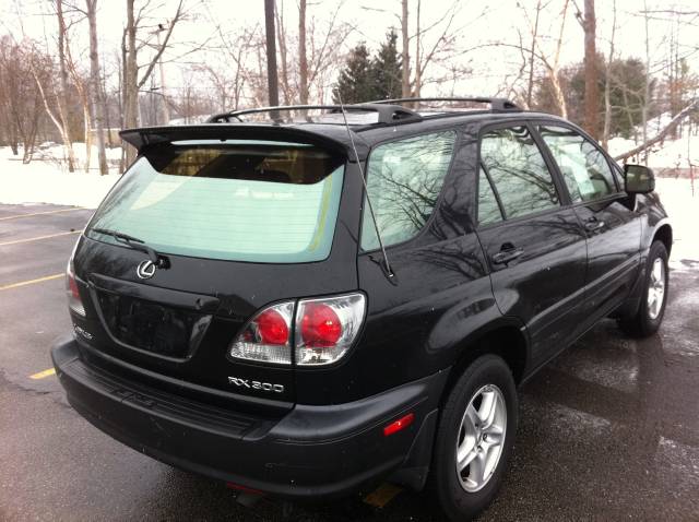 Lexus RX 300 2001 photo 4