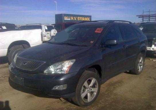 Lexus RX 330 2004 photo 3