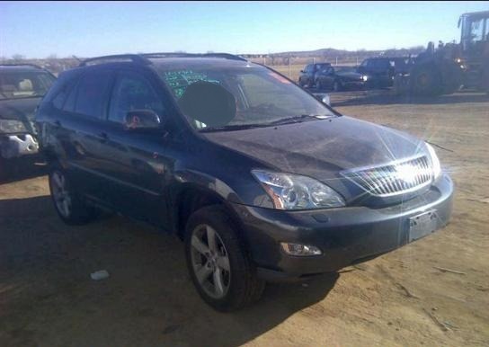 Lexus RX 330 2004 photo 4