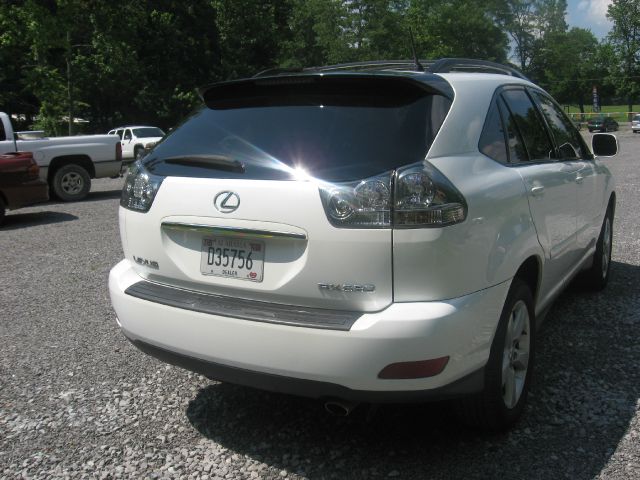 Lexus RX 330 2004 photo 4