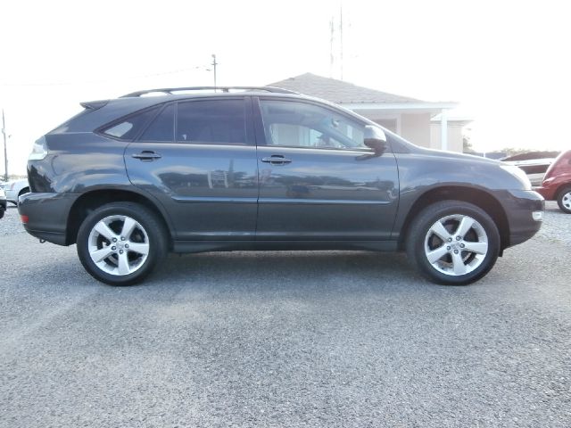 Lexus RX 330 2004 photo 1