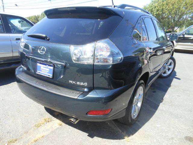 Lexus RX 330 2004 photo 3