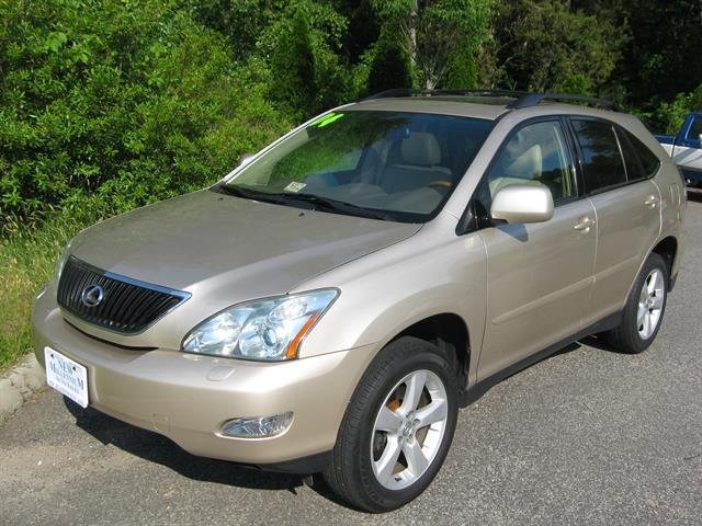 Lexus RX 330 2004 photo 6