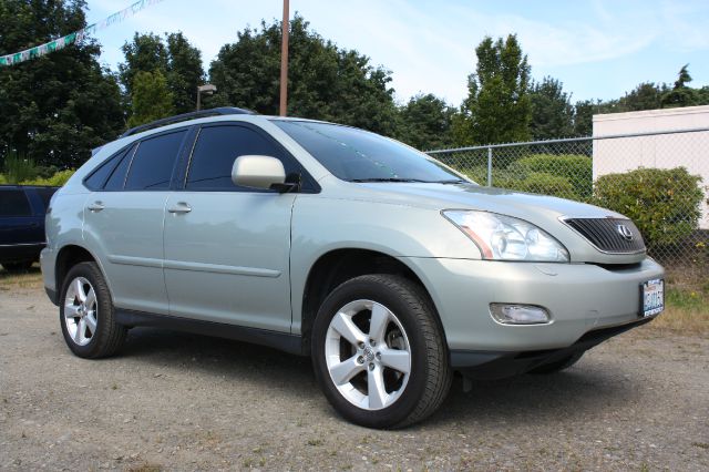 Lexus RX 330 2004 photo 2