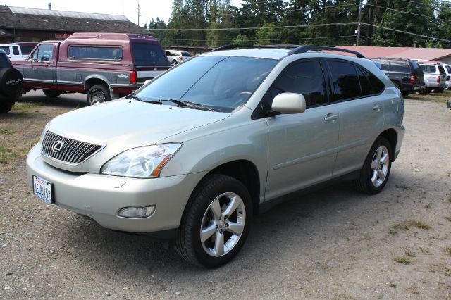 Lexus RX 330 2004 photo 4