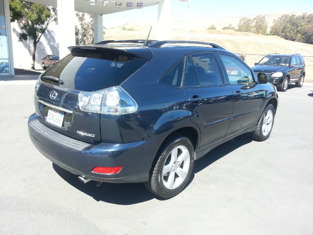 Lexus RX 330 2004 photo 2