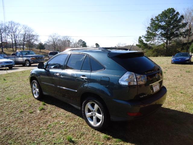 Lexus RX 330 2004 photo 10