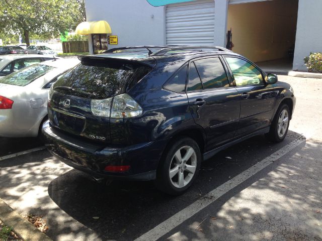 Lexus RX 330 2004 photo 1