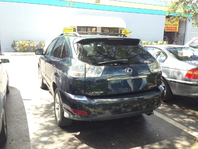 Lexus RX 330 2004 photo 2