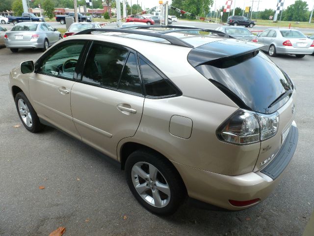 Lexus RX 330 2004 photo 21