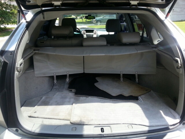 Lexus RX 330 2004 photo 2