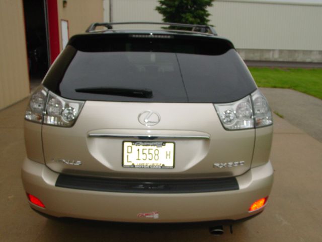 Lexus RX 330 2004 photo 3