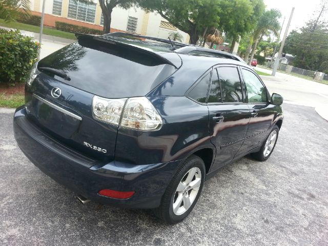 Lexus RX 330 2004 photo 1