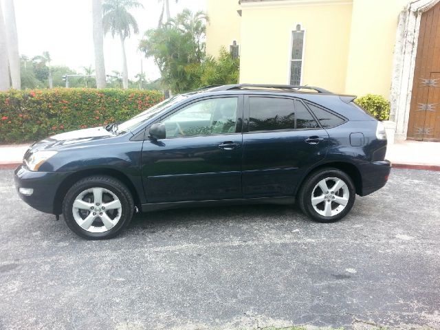 Lexus RX 330 2004 photo 3