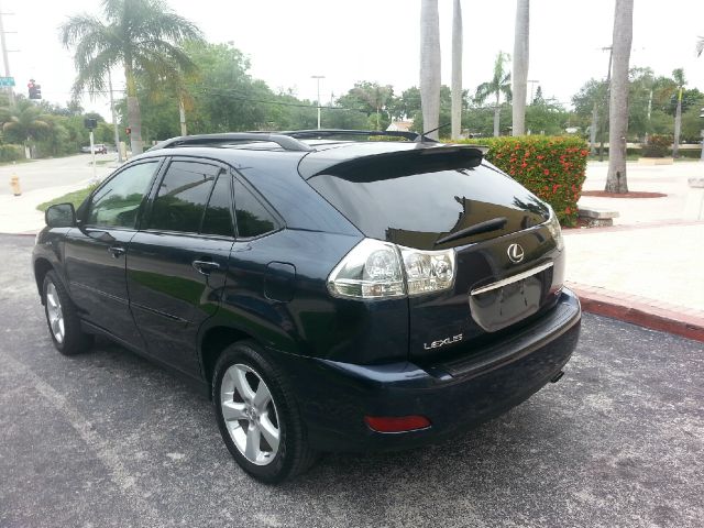 Lexus RX 330 2004 photo 6