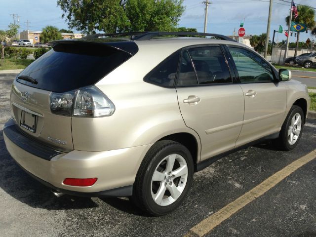 Lexus RX 330 2004 photo 2