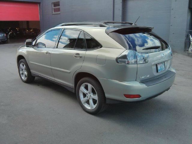 Lexus RX 330 2004 photo 2