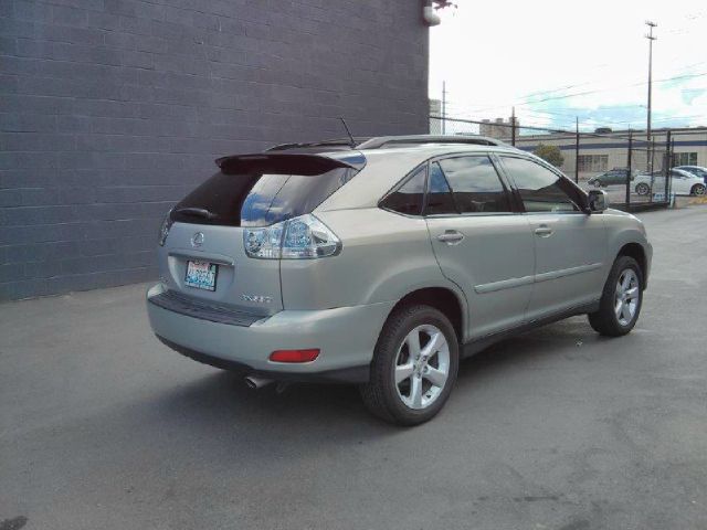 Lexus RX 330 2004 photo 6