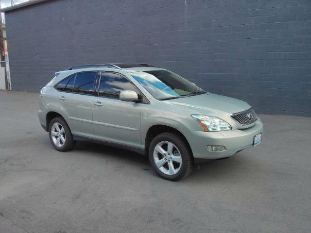 Lexus RX 330 2004 photo 9