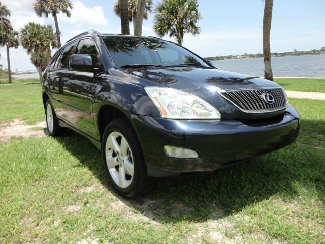 Lexus RX 330 2004 photo 1