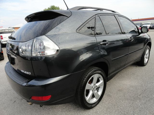 Lexus RX 330 2004 photo 3